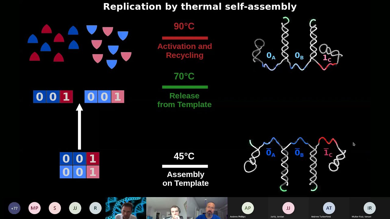 Dieter Braun: Tracking the first evolutionary steps in non-equilibrium settings
