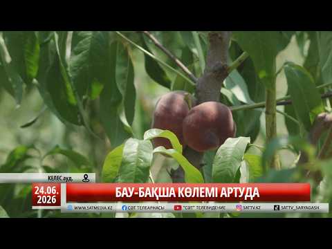 24 06 2026 БАУ БАҚША КӨЛЕМІ АРТУДА