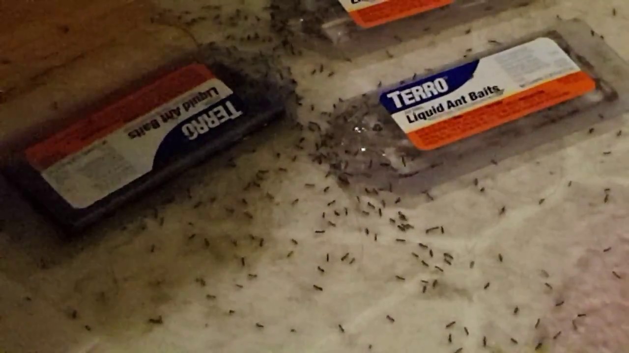 Terro Liquid Ant Baits: Where is the proof??? 