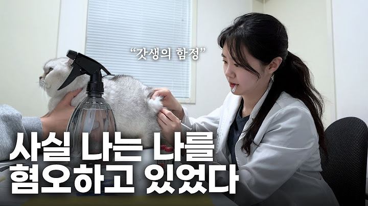 수의사 vlog : 자기사랑은 어려워… 생산성 강박에서 벗어나기 위한 여정
