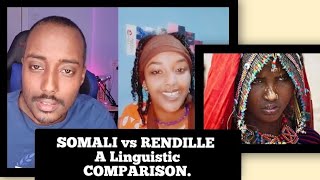 SOMALI vs RENDILLE |A LINGUISTIC COMPARISONS | CUSHITIC LANGUAGES | AFROASIATIC |
