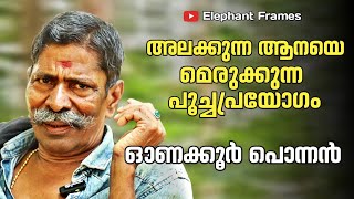 ആനയെ എറിഞ്ഞു വീഴ്ത്തുന്ന ആനപ്പണി | Onakkoor Ponnan | Elephant Frames| PART 24