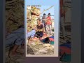 फनी कॉमेडी देसी वीडियो 😂😎 #comedy #shorts #viralreels #funnyanimal #funny #youtubeshorts