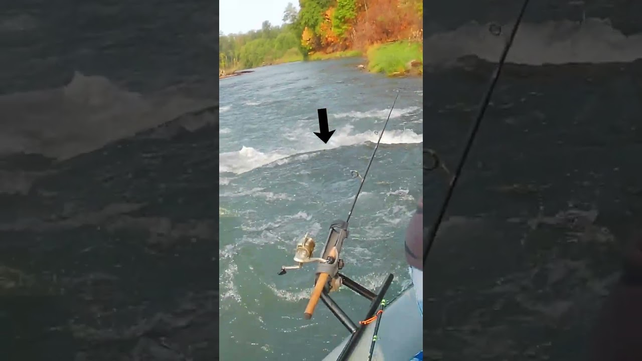 Tight spot on the Nisqually river