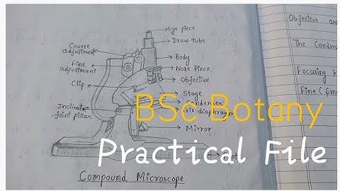 BSc BOTANY 1 Semester Practical File 🔬 #bsc #botany 