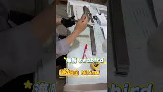 Nitinol Shape Memory Alloy Sheets From China