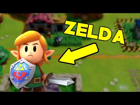 Zelda is the green dude, right