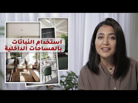 فيديو: كيفية اختيار الحق في غرفة الطعام الكراسي