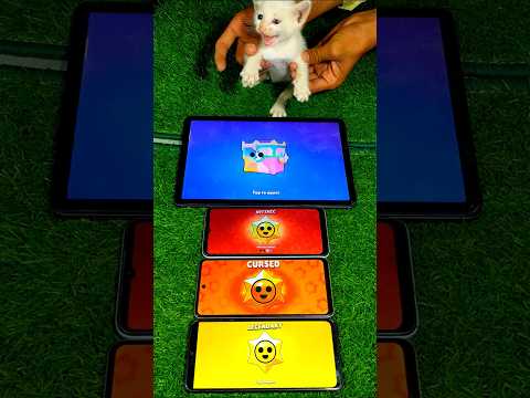 CAT OPENING TROPHY BOX GONE WRong Brawlstars Trophyguide