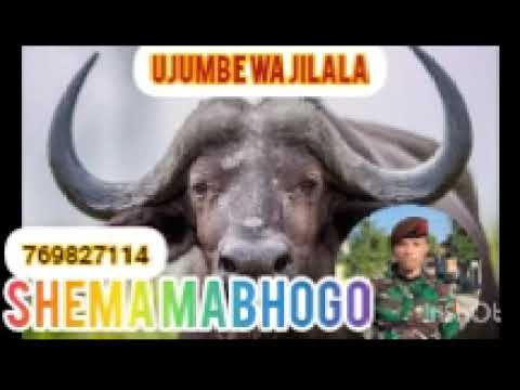 SHEMA MABHOGO UJUMBE WA JILALA