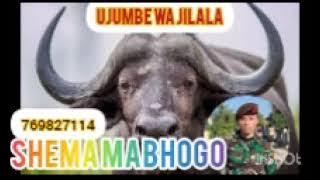 SHEMA MABHOGO UJUMBE WA JILALA