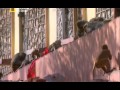 قردة لصوص لصوص وشرطة 2 2 ناشونال جيو جرافيك قردة لصوص لصوص وشرطة 2 2 ناشونال جيو جرافيك