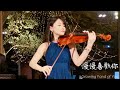 莫文蔚「慢慢喜歡你」婚禮深情小提琴演奏 - 黃品舒 Kathie Violin cover