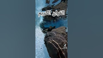 القران الكريم فلسطين بلد #اكسبلور #edit #ياسر_الدوسري #المصحف #الرحمن #راحة_نفسية