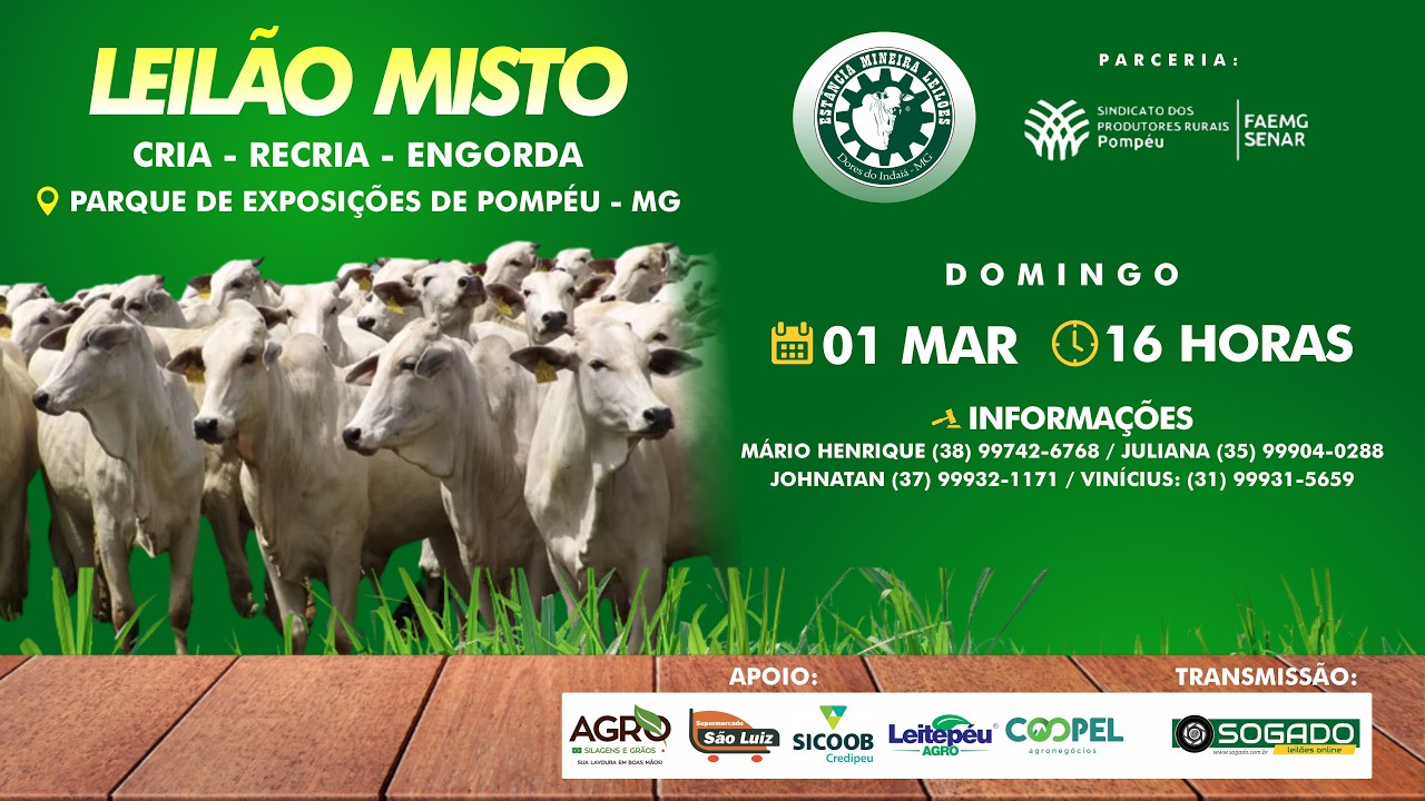LEILÃO MISTO - ESTÂNCIA MINEIRA LEILÕES E SINDICATO DE POMPÉU/MG - 01/03/2026