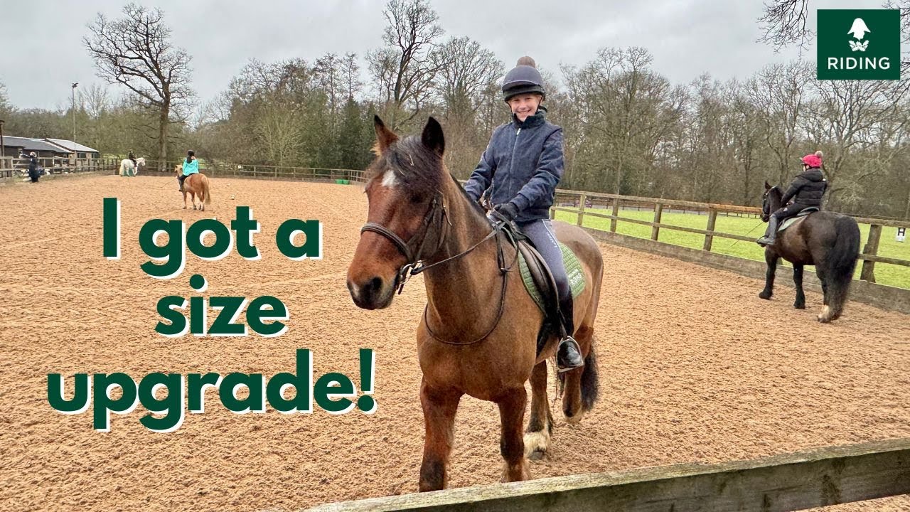 I got a size upgrade! Riding Percy at Wellington Riding