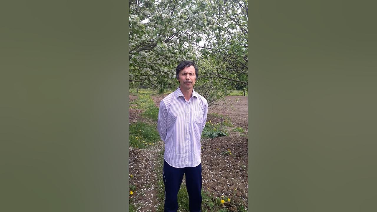 Пытается подставить