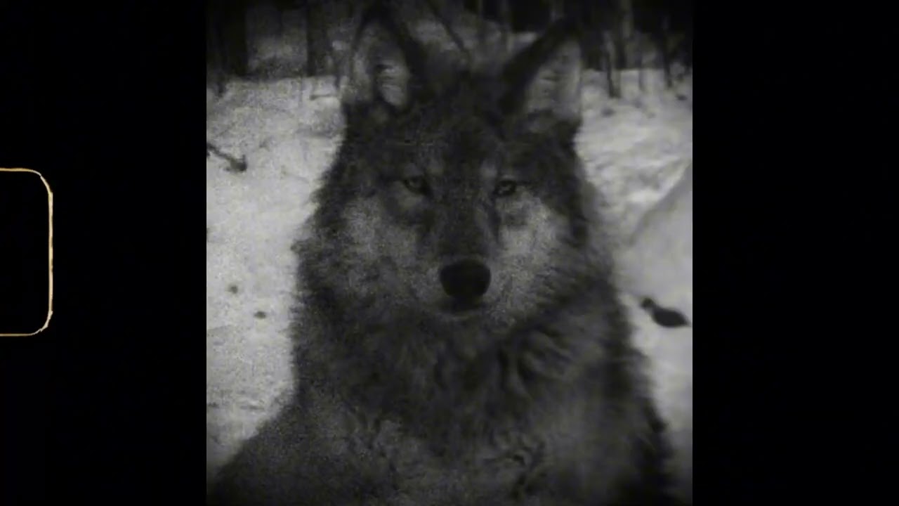 Dark Boom Bap Type Beat - 