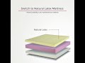Whiteberry Latexo: 8” Mattress with 100% Natural Latex with Memory Foam, 3 Zone high Resilience Foam