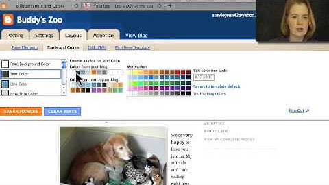 Tech Tutorial: Customizing your blog (Blogging part 2)