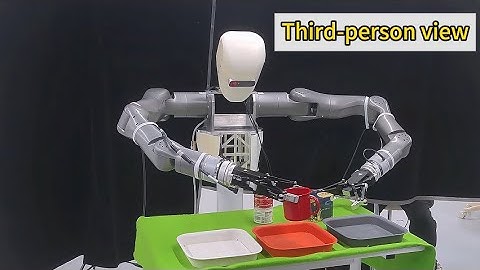 Embodied AI & Humanoids: Making Robots ACTUALLY Useful