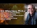 Patterning Gene Activity During Early Embryonic Development - Eric Wieschaus, Ph.D.