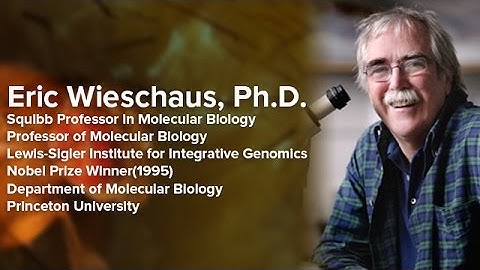 Patterning Gene Activity During Early Embryonic Development - Eric Wieschaus, Ph.D.
