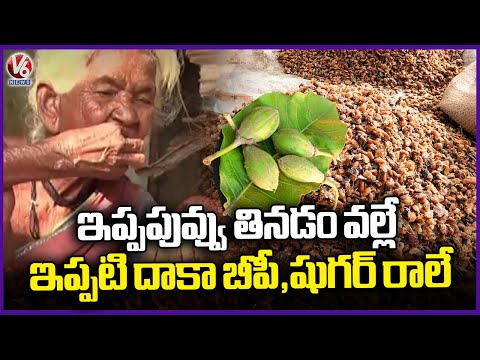 Because Of Eating Ippa Puvvu since 100 years I Didn't Get BP Sugar : Old Women Adilabad | V6 News