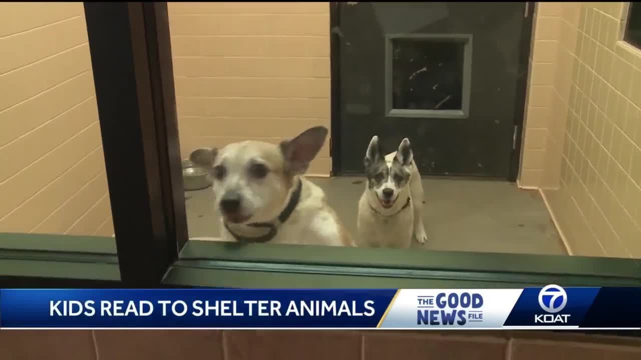 Kids read to shelter pets YouTube