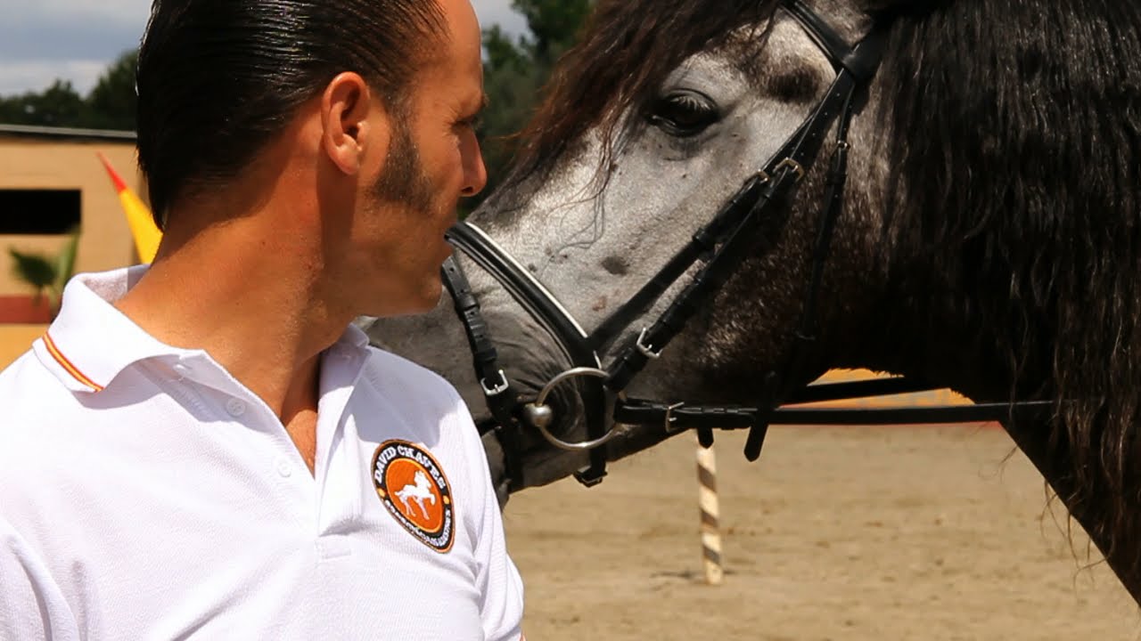 Club Hípico David Chaves