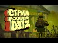 DayZ:  выживание