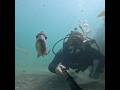 Little snapper video bombs me
