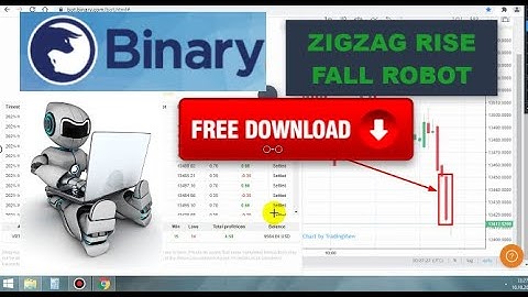 Zigzag Method Binary Rise Fall Robot (FREE Download)