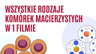 Wszystkie Typy Komórek Macierzystych Wyjaśnione Realne Zastosowania W Medycynie Regeneracyjnej