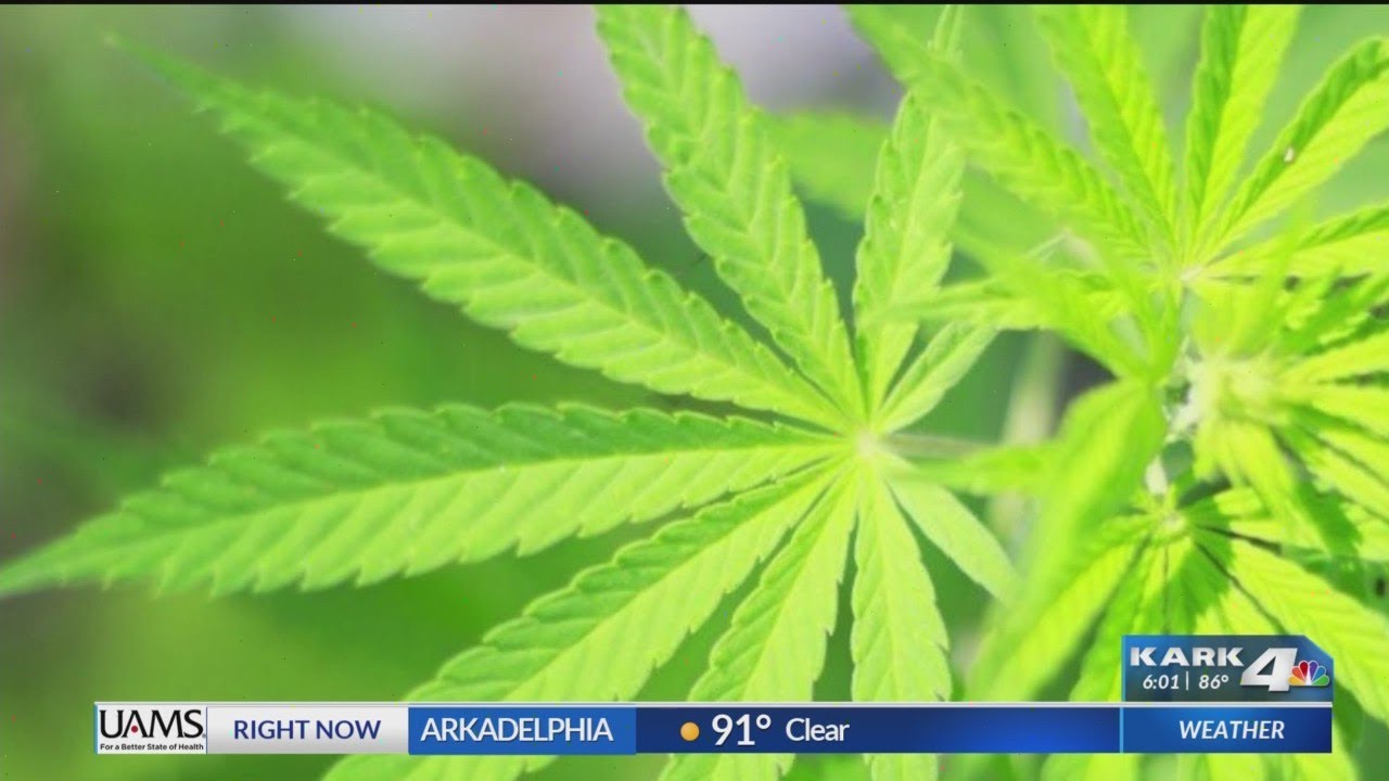 Arkansas Supreme Court approves recreational marijuana for November ballot