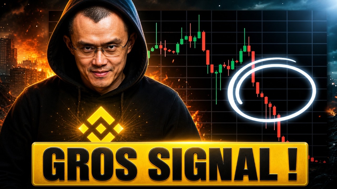 تصویر کوچک ALTCOINS: La CAPITULATION ARRIVE ! 🚨 (Je compte en profiter)