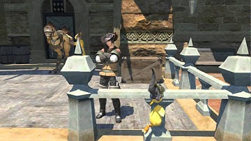 Final Fantasy XIV: A Realm Reborn - Chocobo glitch.