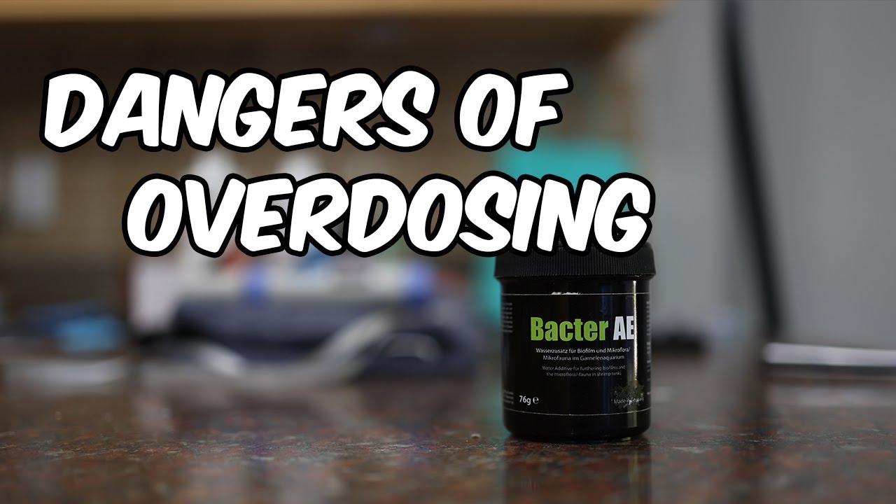 Are You Poisoning Your Shrimp? The Hidden Dangers of Overdosing Bacter AE  ☠️ 