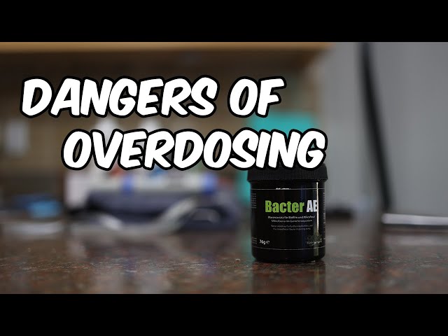 Are You Poisoning Your Shrimp? The Hidden Dangers of Overdosing Bacter AE  ☠️ 