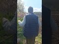Anto în Grădină! - Buzău