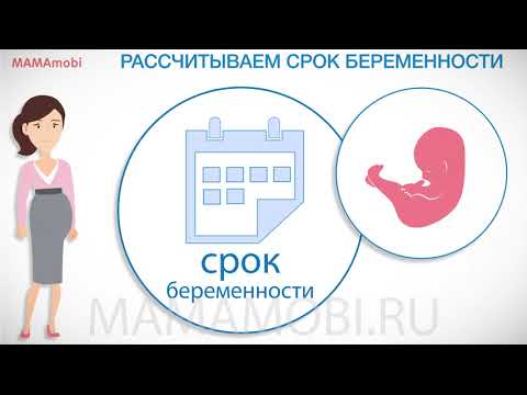 Как высчитать дату зачатия по дате родов