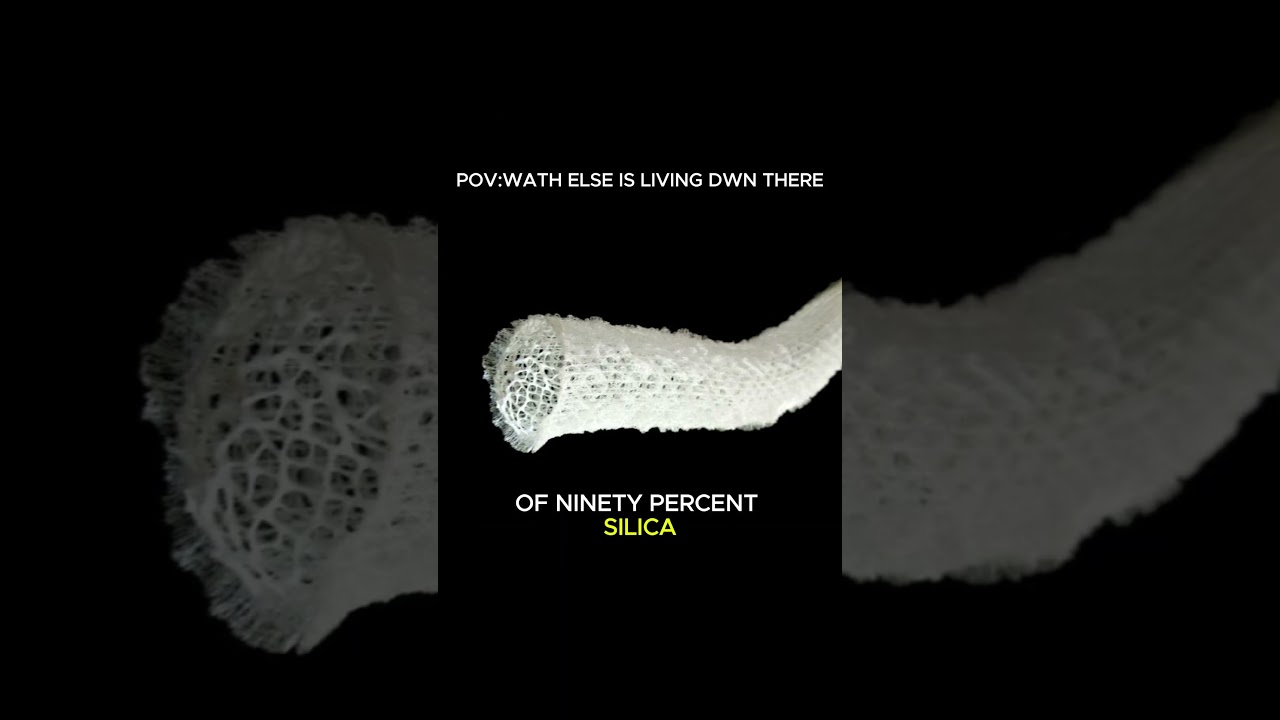 This creature is older than the pyramids