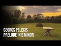 Georgs Pelēcis - Prelude Nr. 14 | Descendente per Tertias