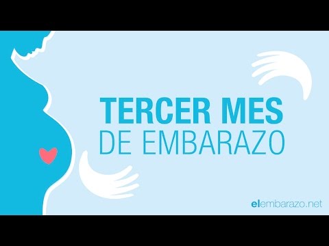 Vídeo: Tercer Mes De Embarazo: ¿qué Sucede? Sensaciones, Descarga