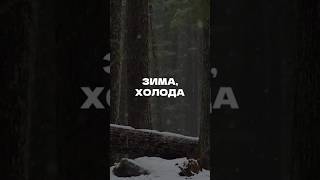 Зима-холода @Ksenonmusic Remix. Скоро! #музыка