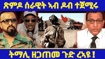 ሕጂ ግርም | ሓዱሽ ብስራት ጽምዶ ካብ ኢሮብ - ኣወል ስዒድ| ትማሊ ዘጋጠመ ጉድ ረኣዩ😱 #eritreanmovie #tigraynews #eritreanfilm