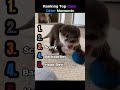 Ranking Top Cute Otter Moments