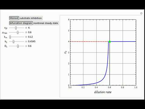 Bifurcation in a Biochemical Reactor