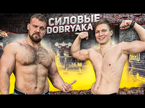 СИЛОВЫЕ DOBRYAKA / ШОУ НА РАЗ #16