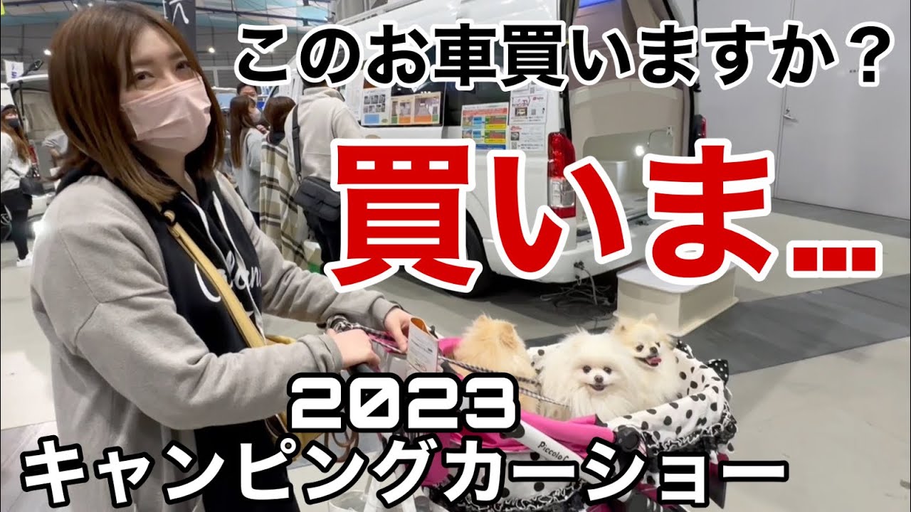 嫌がる嫁に4人がかりでキャンピングカーを買わせようとした結果